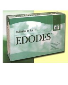Edodes 16bust