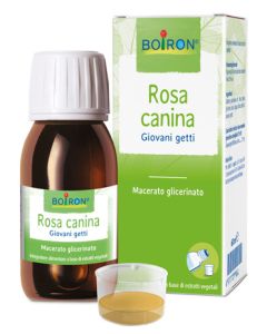 Rosa Canina Boi mg 60ml Int