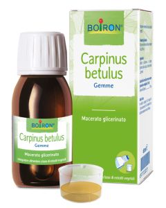 Carpinus Bet Boi mg 60ml Int