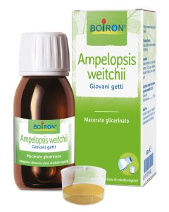 Ampelopsis Wei Boi mg 60ml Int