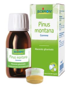 Pinus Montana Boi mg 60ml Int