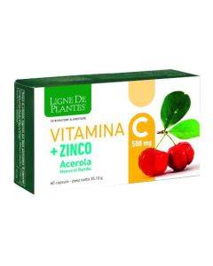 Vitamina c 500mg+zi/ac/ba60cps