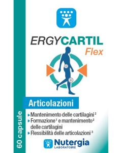 Ergycartil Flex 60cps
