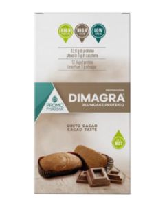Dimagra Plumcake Cioccolato