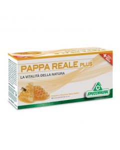 Pappa Reale Plus 12flx10ml